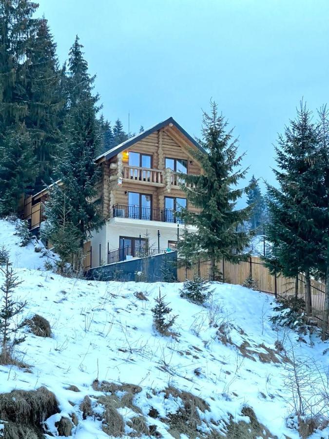 Chalet Du Lac Colibita Exterior photo